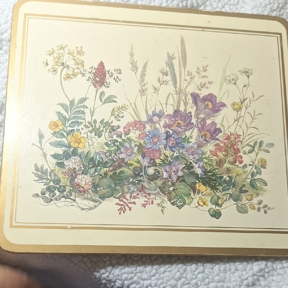Floral Botanical Print Coasters